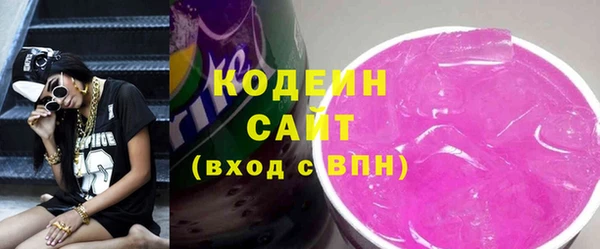индика Елизово