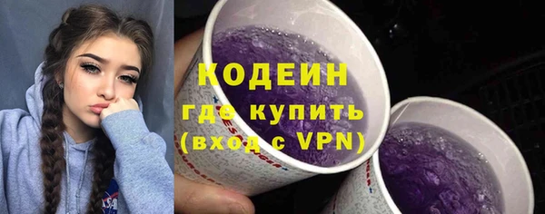 индика Елизово
