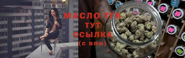 индика Елизово