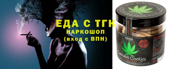 индика Елизово