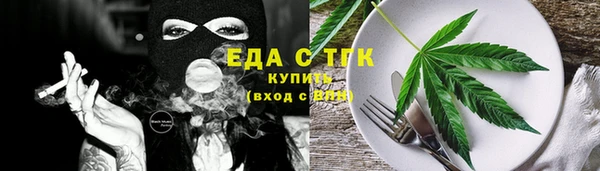 индика Елизово