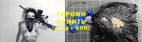 индика Елизово