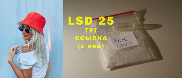 индика Елизово