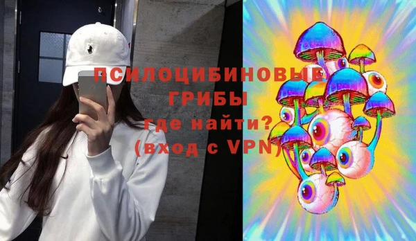 мдпв Осинники