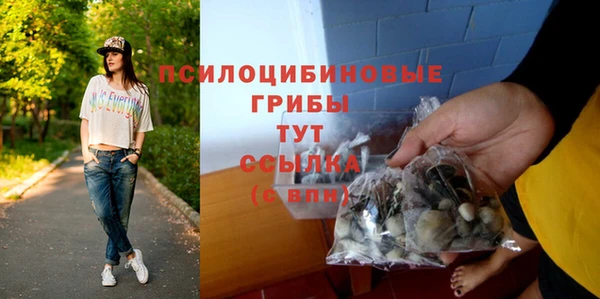 соль курить ск Ельня