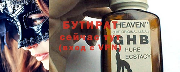 индика Елизово