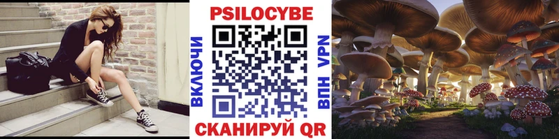 площадка формула  Себеж  Псилоцибиновые грибы GOLDEN TEACHER 