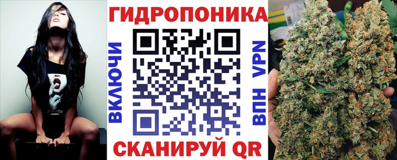 KRAKEN   Себеж  Бошки Шишки LSD WEED 